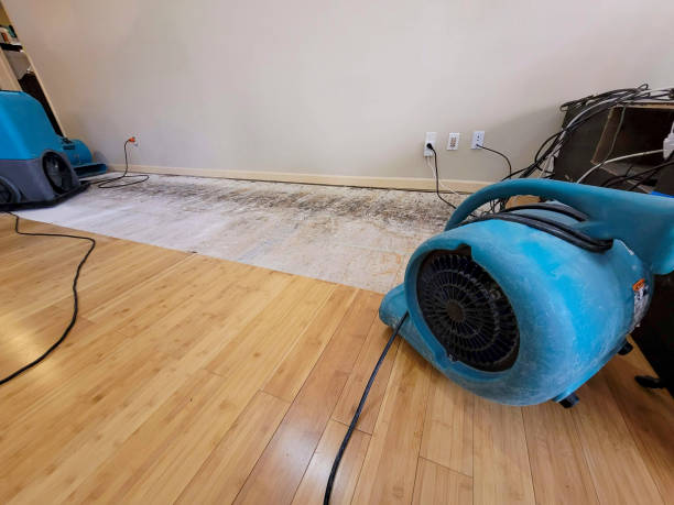 Professional Flood Damage Cleanup technician working in Geismar, LA